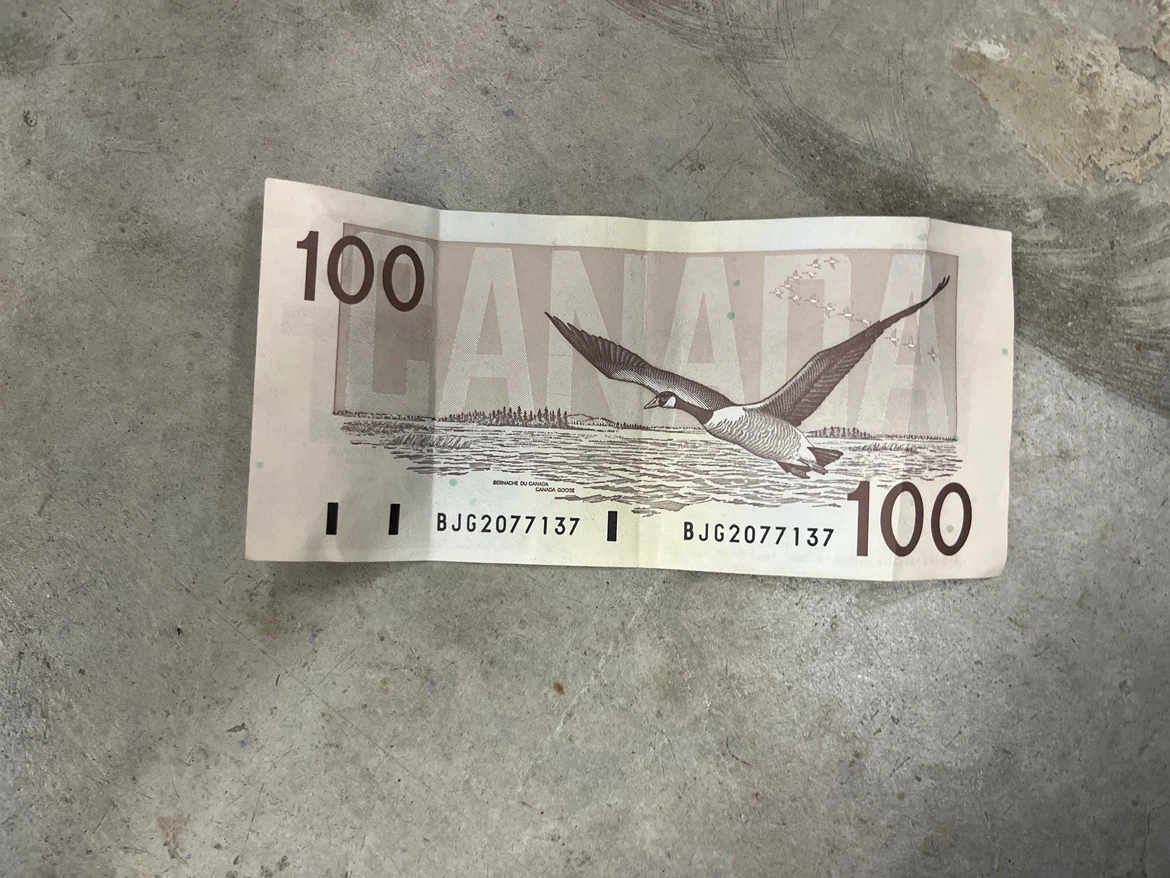 Bank of Canada $100 Banknote - photo 4