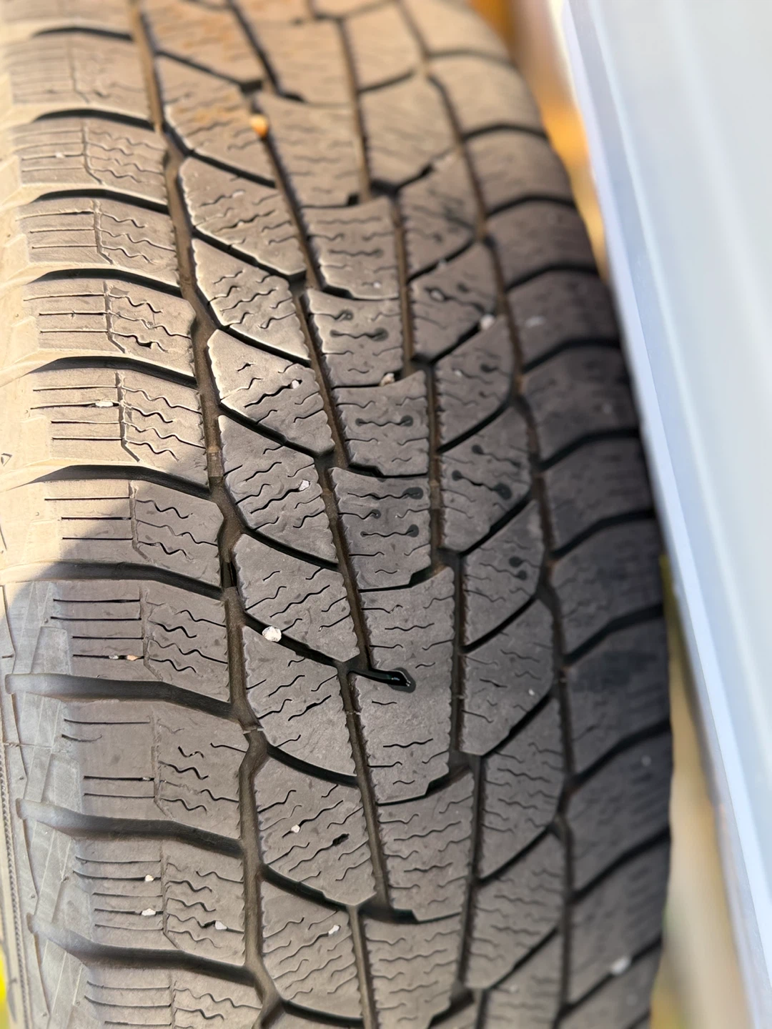 Motomaster Winter Edge Tires with Mazda Rims - photo 2
