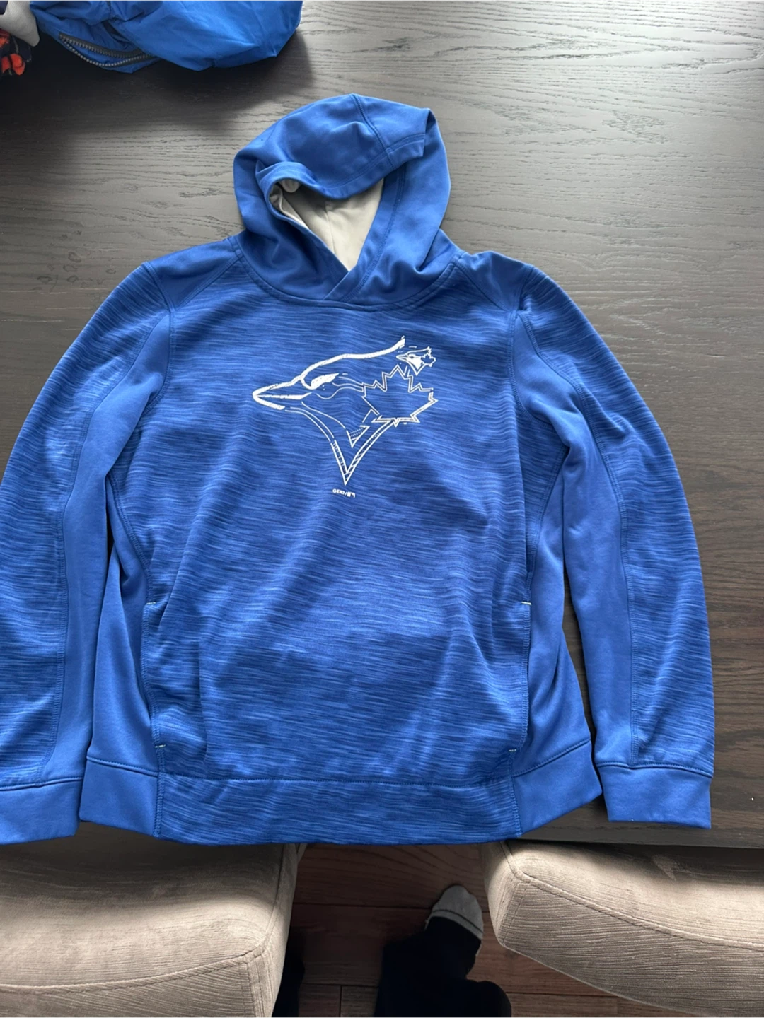 Toronto Blue Jays Youth Hoodie