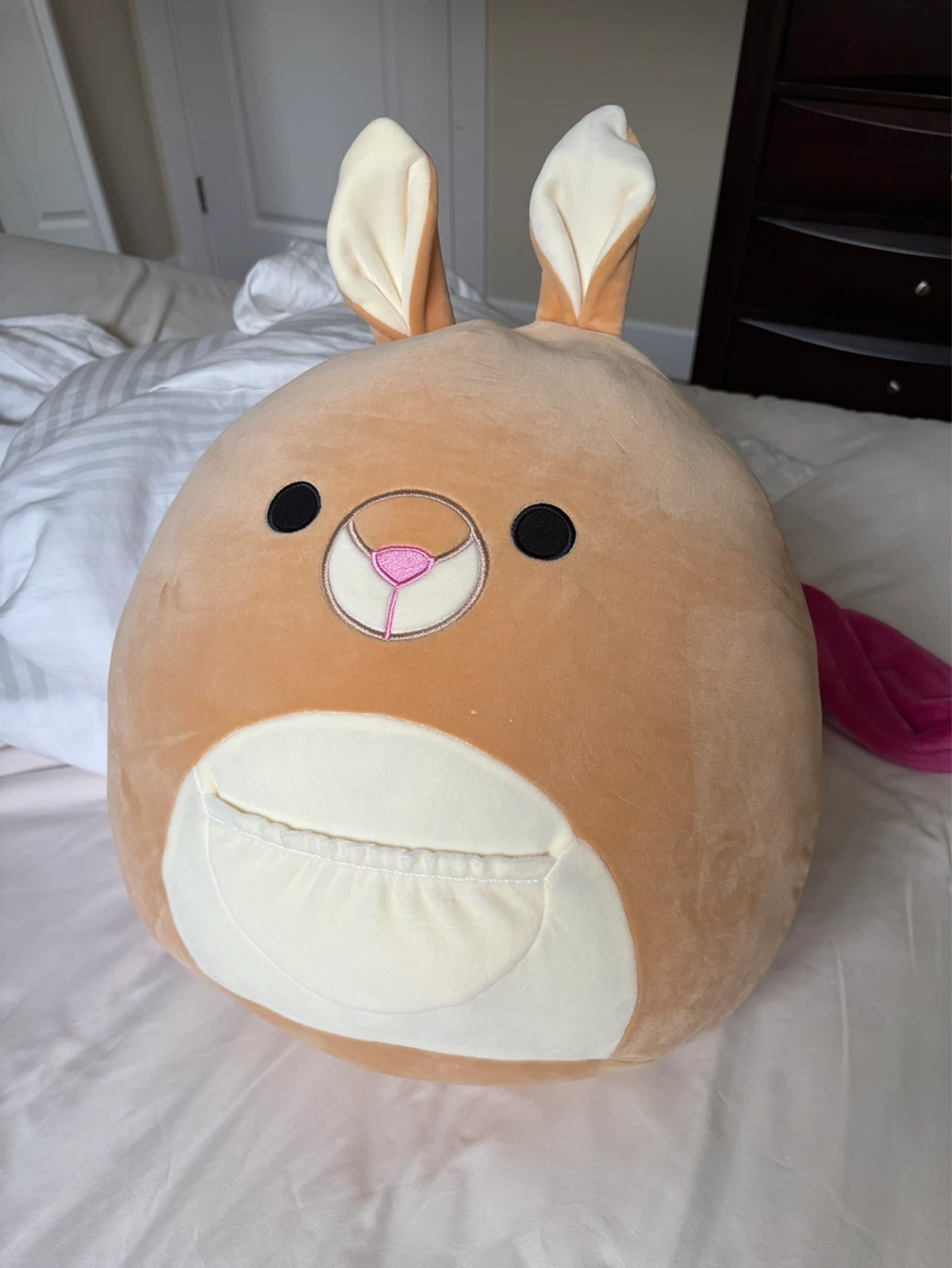 Squishmallows Joey the Kangaroo Plush