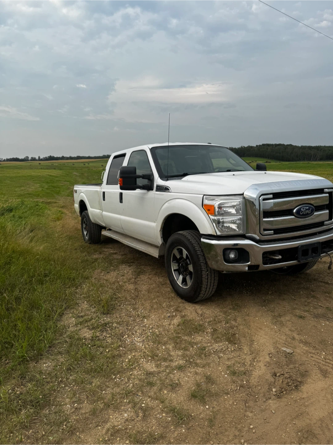 White Ford F-350 Super Duty FX4 - photo 3