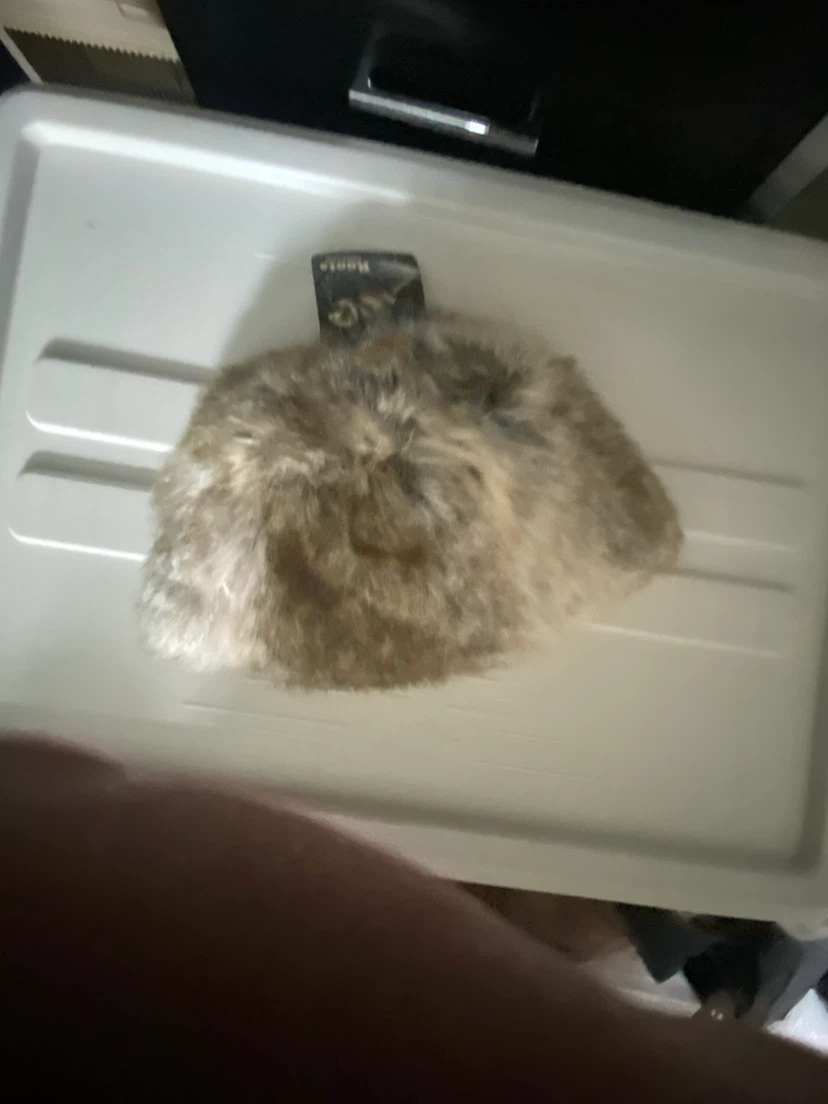 New Roots Faux Fur Trapper Hat