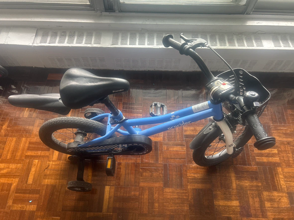Prorider 14-inch Kids Bicycle