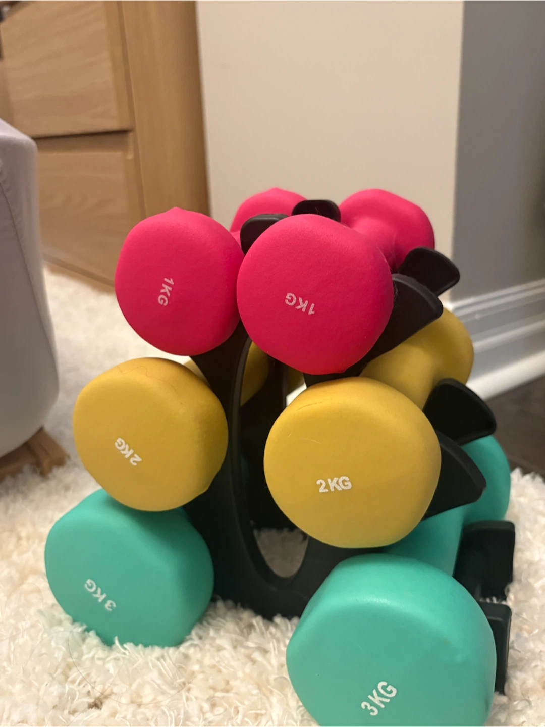 Neoprene Dumbbell Set with Rack (3 Pairs - 1kg, 2kg, 3kg)