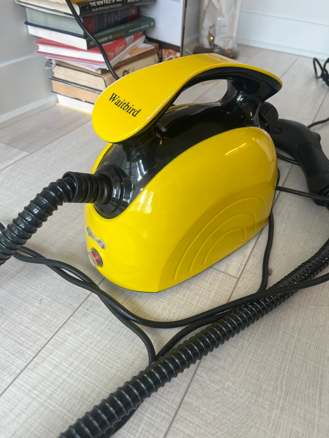 Waitbird Steam Cleaner