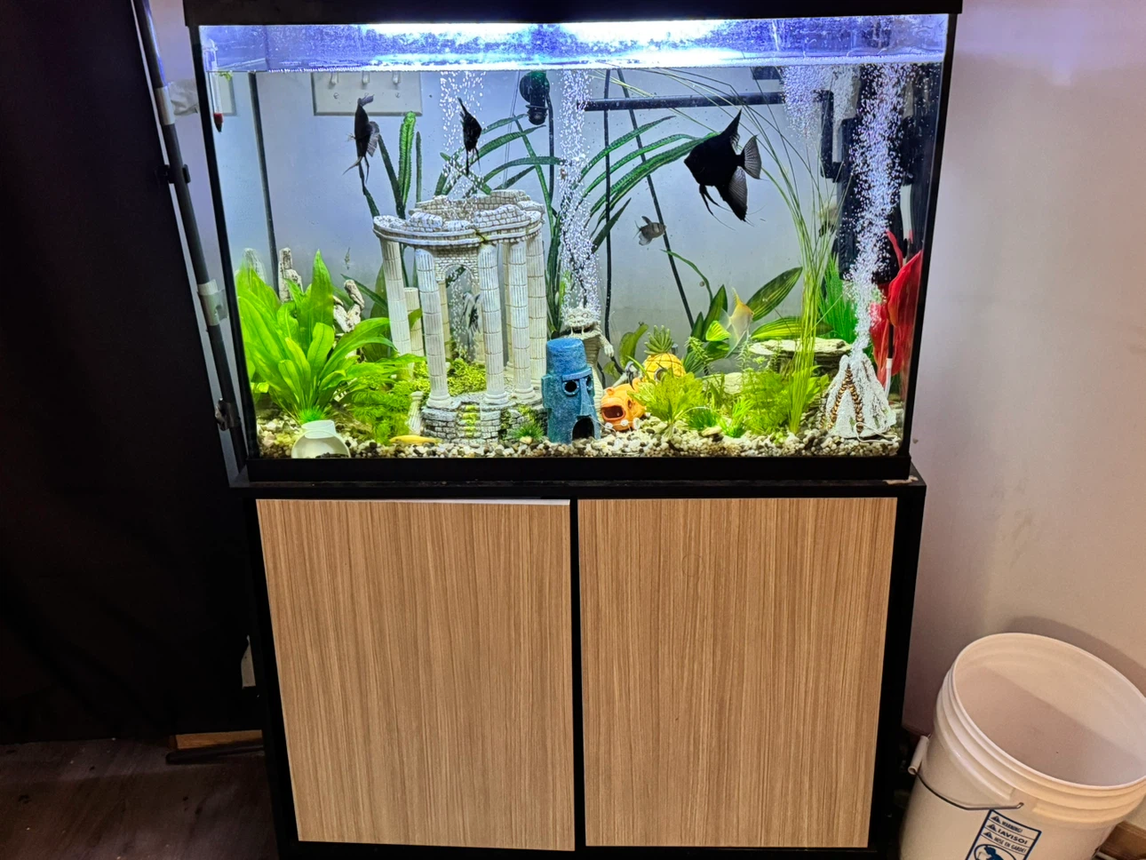 Glass Aquarium with Wooden Stand