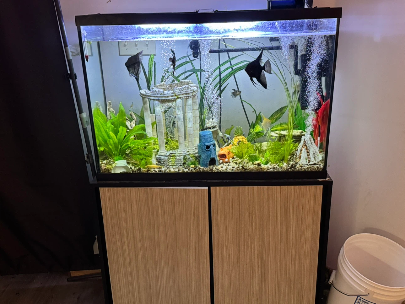 Glass Aquarium with Wooden Stand - photo 2