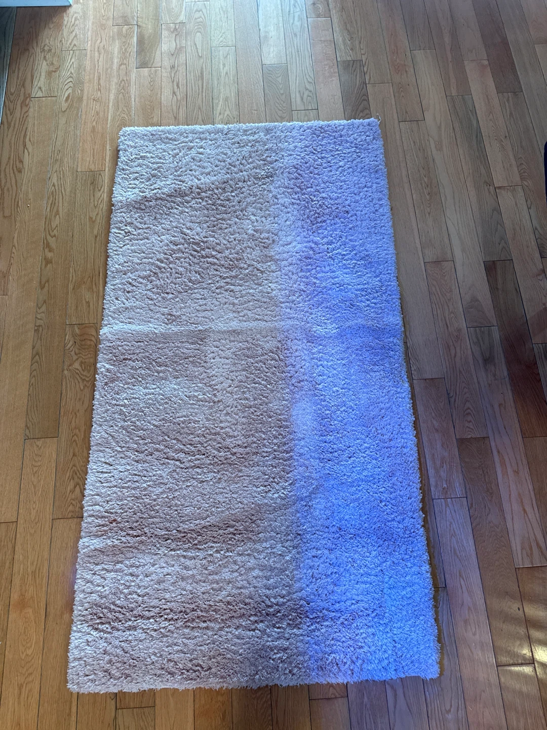 Soft blush pink Shaggy Area Rug
