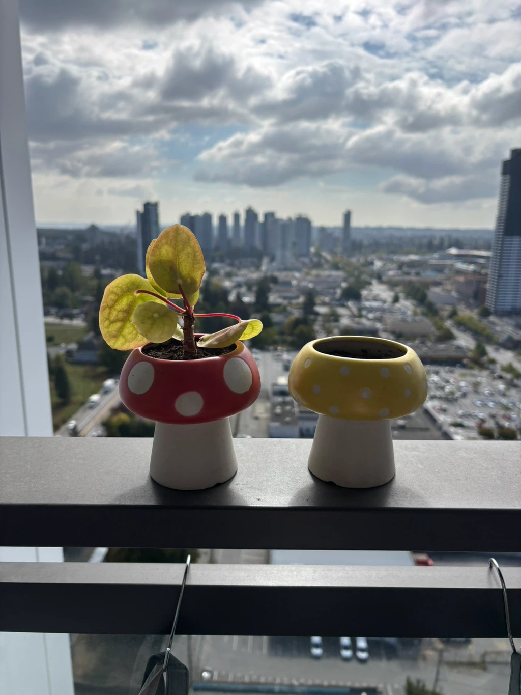 Set of Two Mushroom Planters