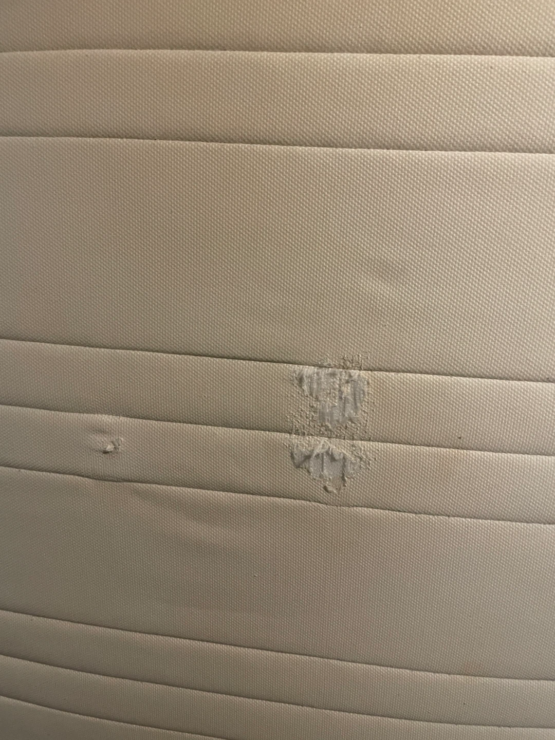Free IKEA Twin Mattress - photo 2