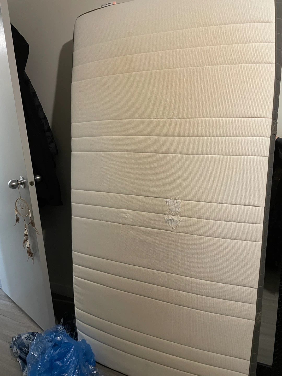 Free IKEA Twin Mattress