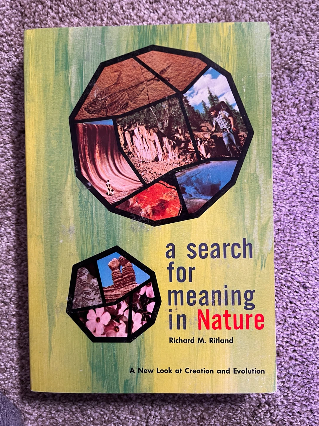 A Search for Meaning in Nature by Richard M. Ritland