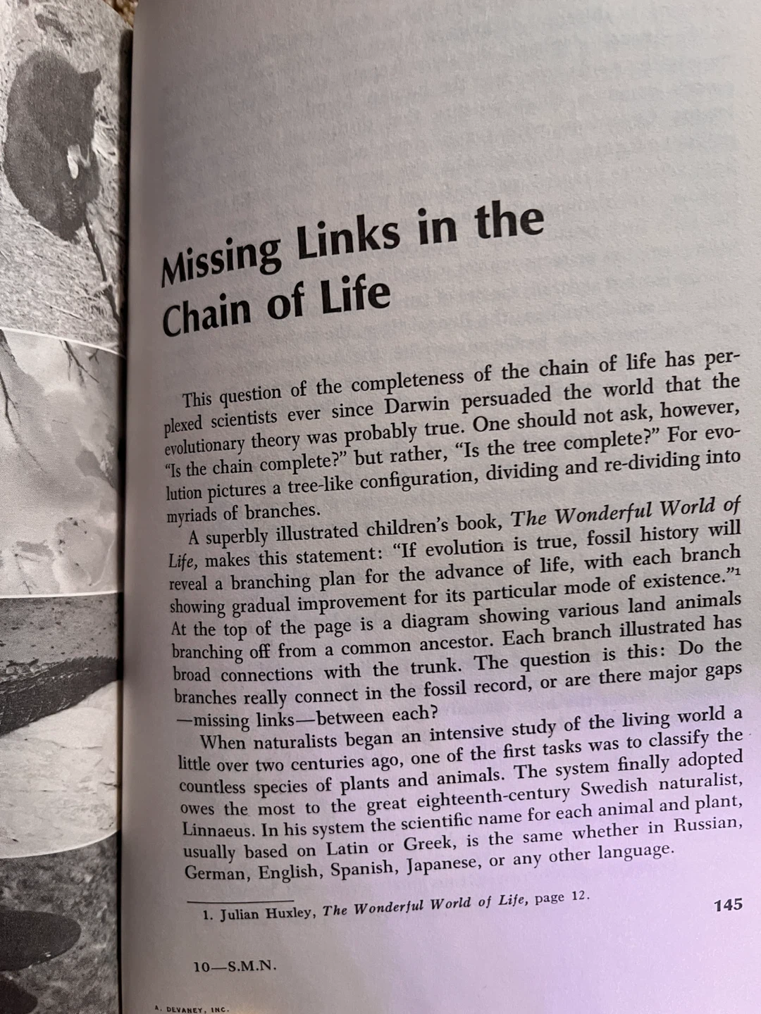 A Search for Meaning in Nature by Richard M. Ritland - photo 3