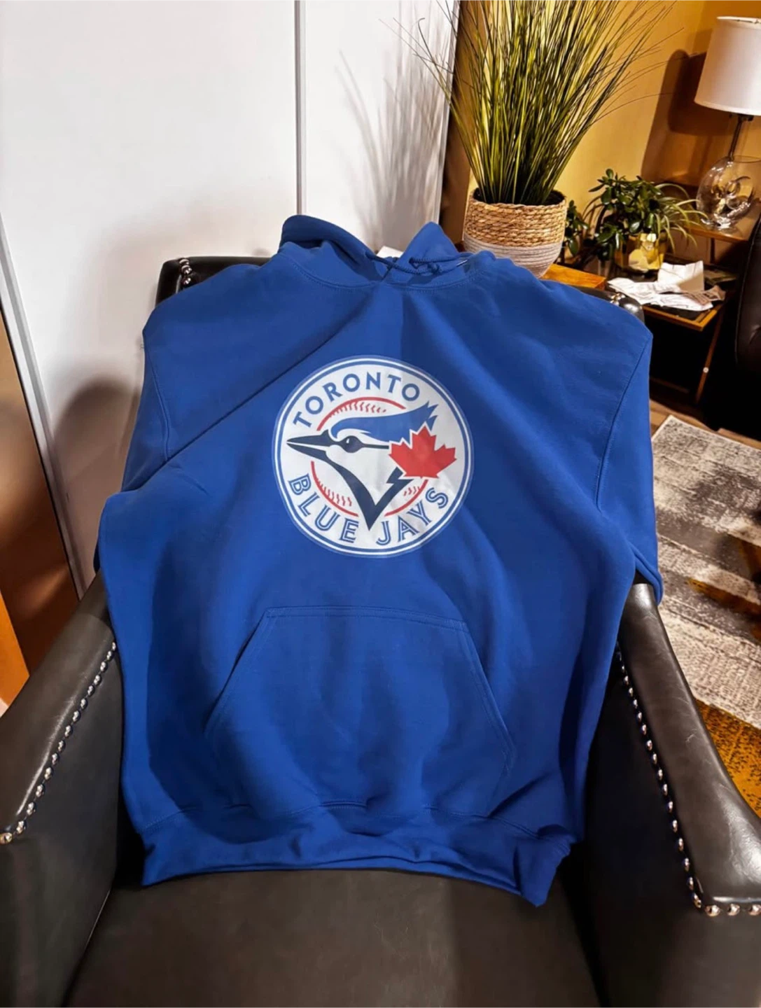 Toronto Blue Jays Hoodie