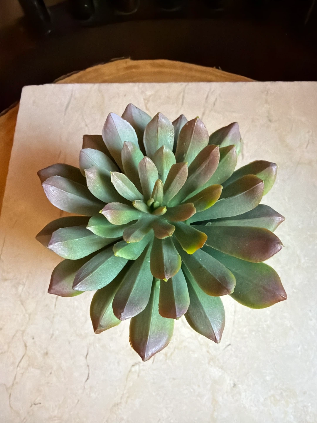 Artificial Tiny Succulent Plant - photo 2