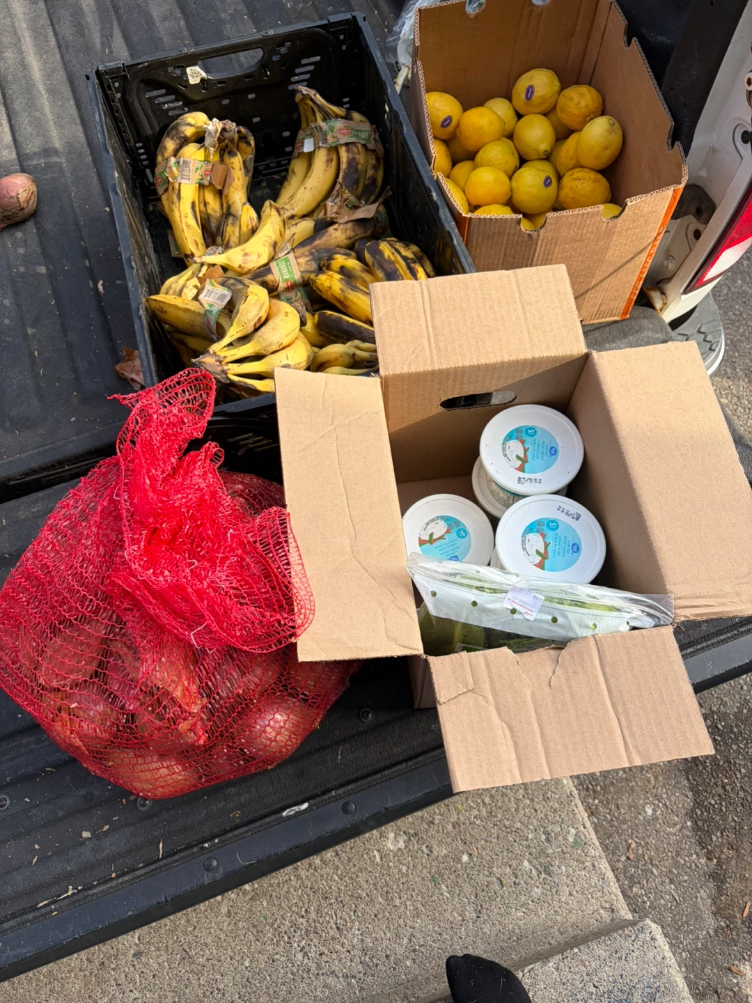 Community Food Distribution