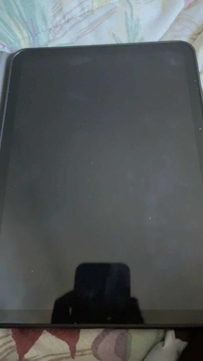 Apple iPad - photo 3