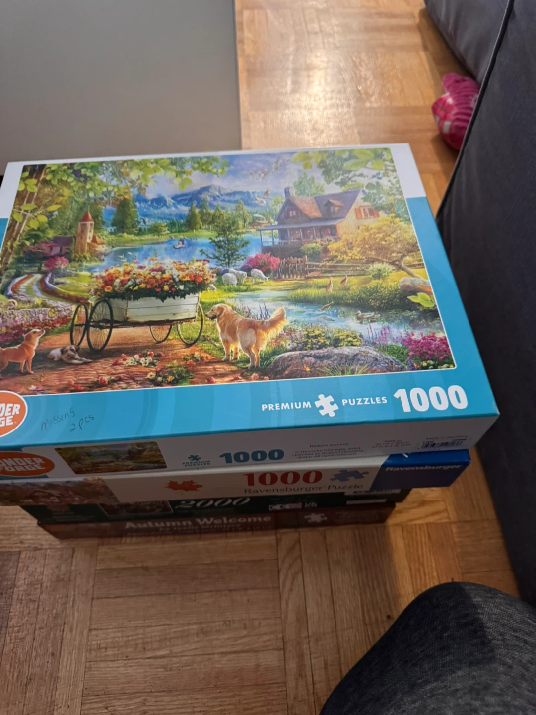 Assorted Jigsaw Puzzles - photo 3