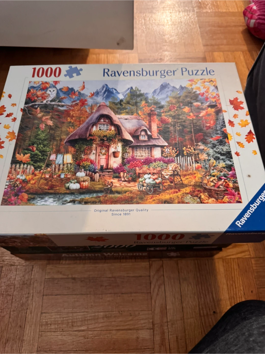 Assorted Jigsaw Puzzles - photo 4