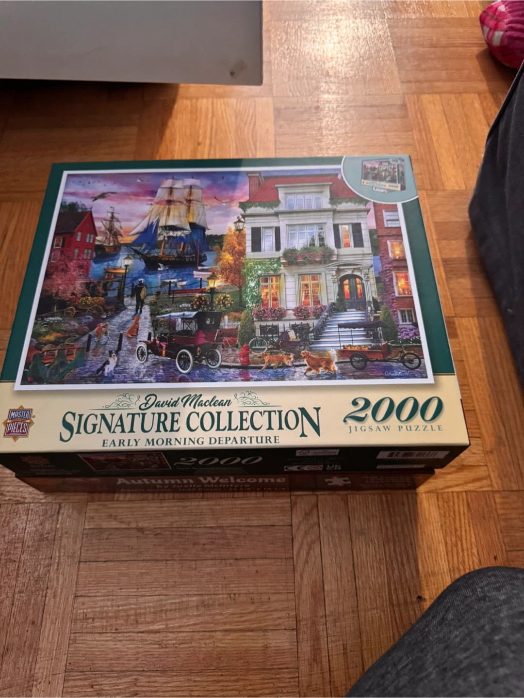 Assorted Jigsaw Puzzles - photo 5