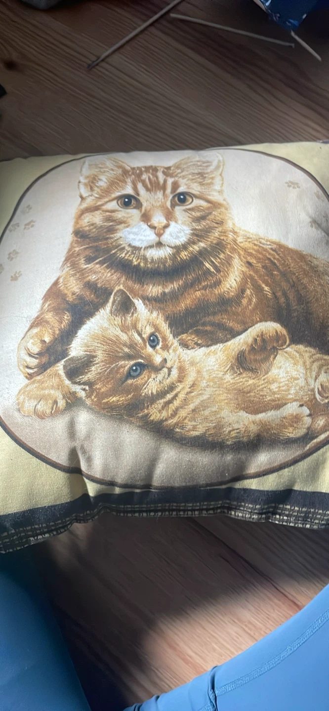 Skittles plush cushion