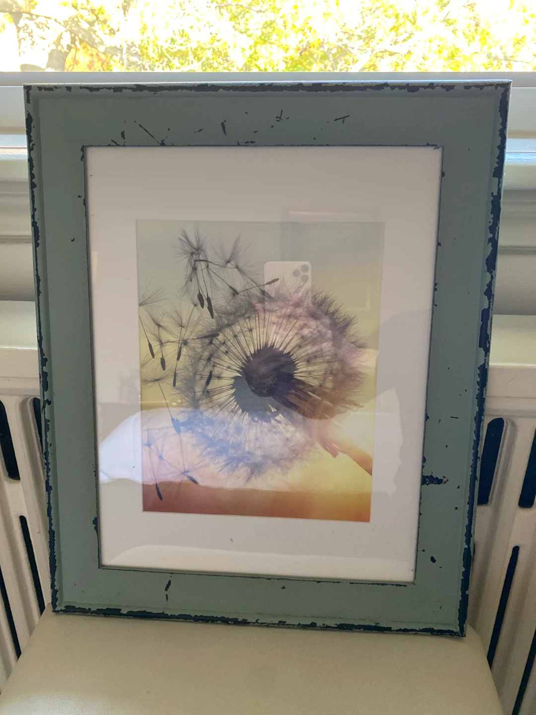 HomeSense Dandelion Wall Art with Distressed Frame