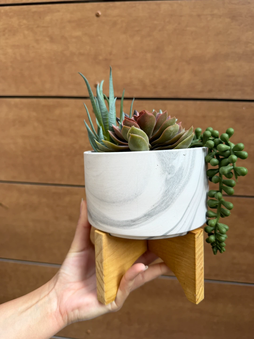 Artificial Succulent Arrangement with Marble-Effect Pot - photo 5