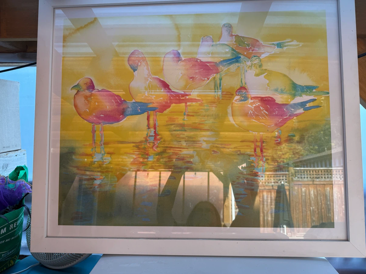 Framed Abstract Seagull Wall Art