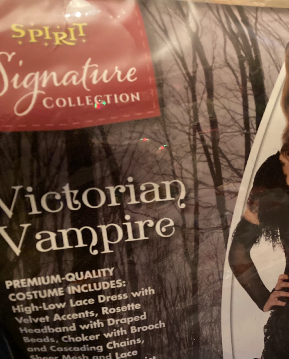 Spirit Signature Collection Victorian Vampire Costume - photo 4