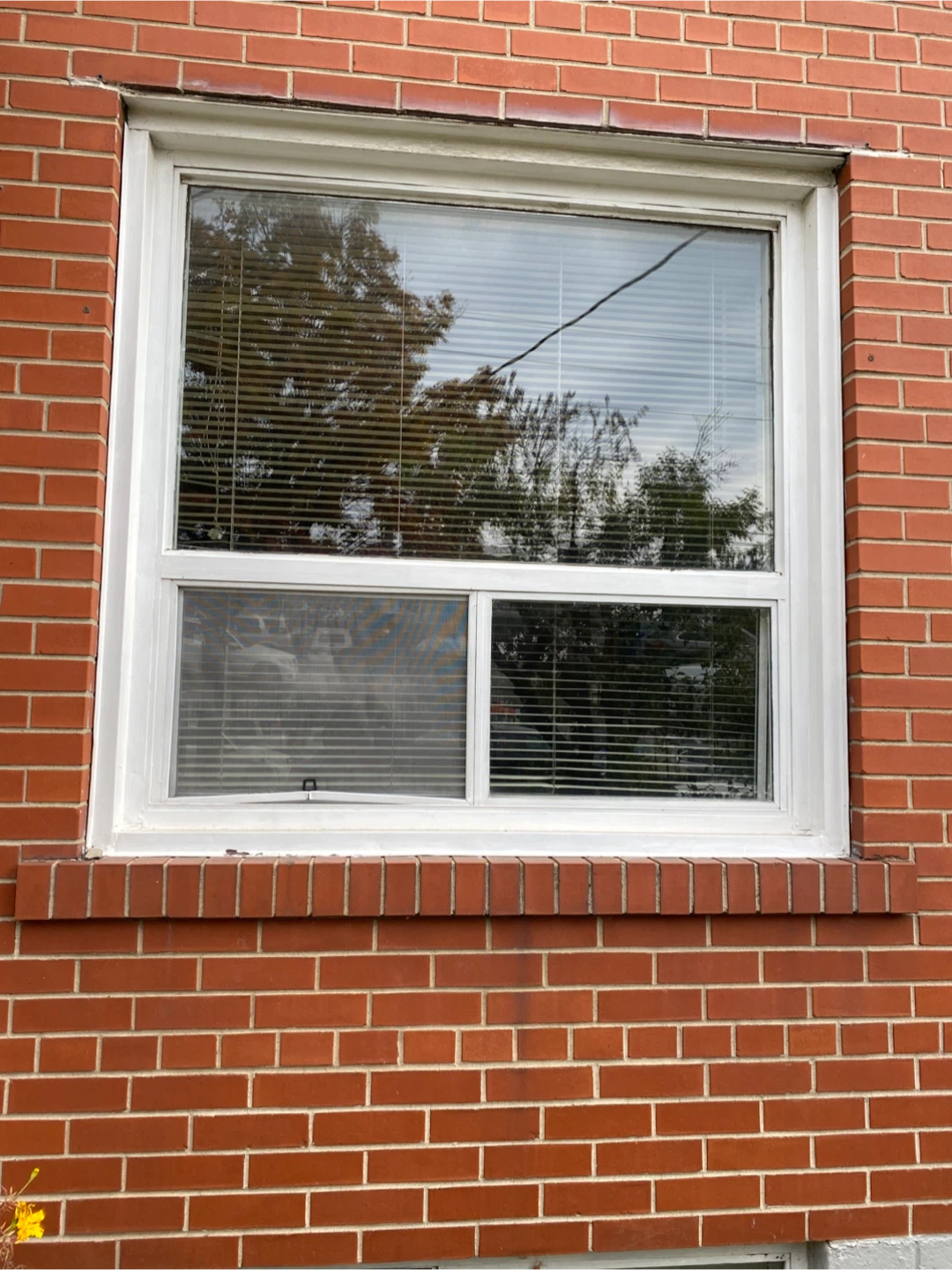 Thermo double Alum.Windows.2pcs 60”x60” & 3@ 48”x48” - photo 3
