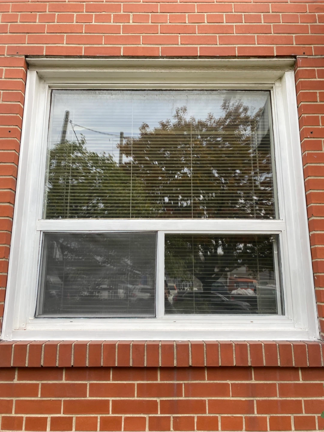 Thermo double Alum.Windows.2pcs 60”x60” & 3@ 48”x48”