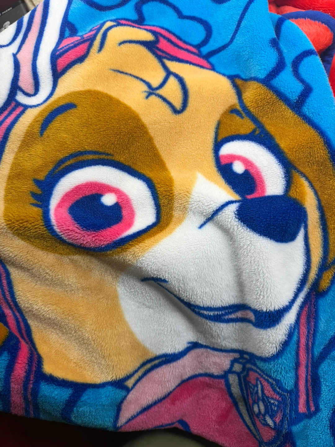 Paw Patrol Plush Throw Blanket