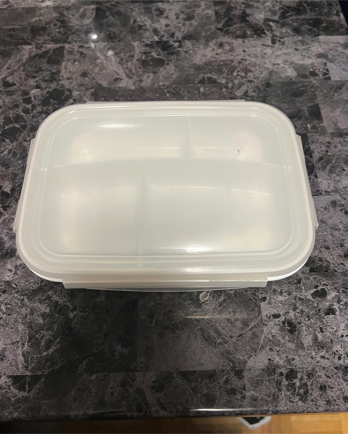 Set of 3 Divided Food Containers