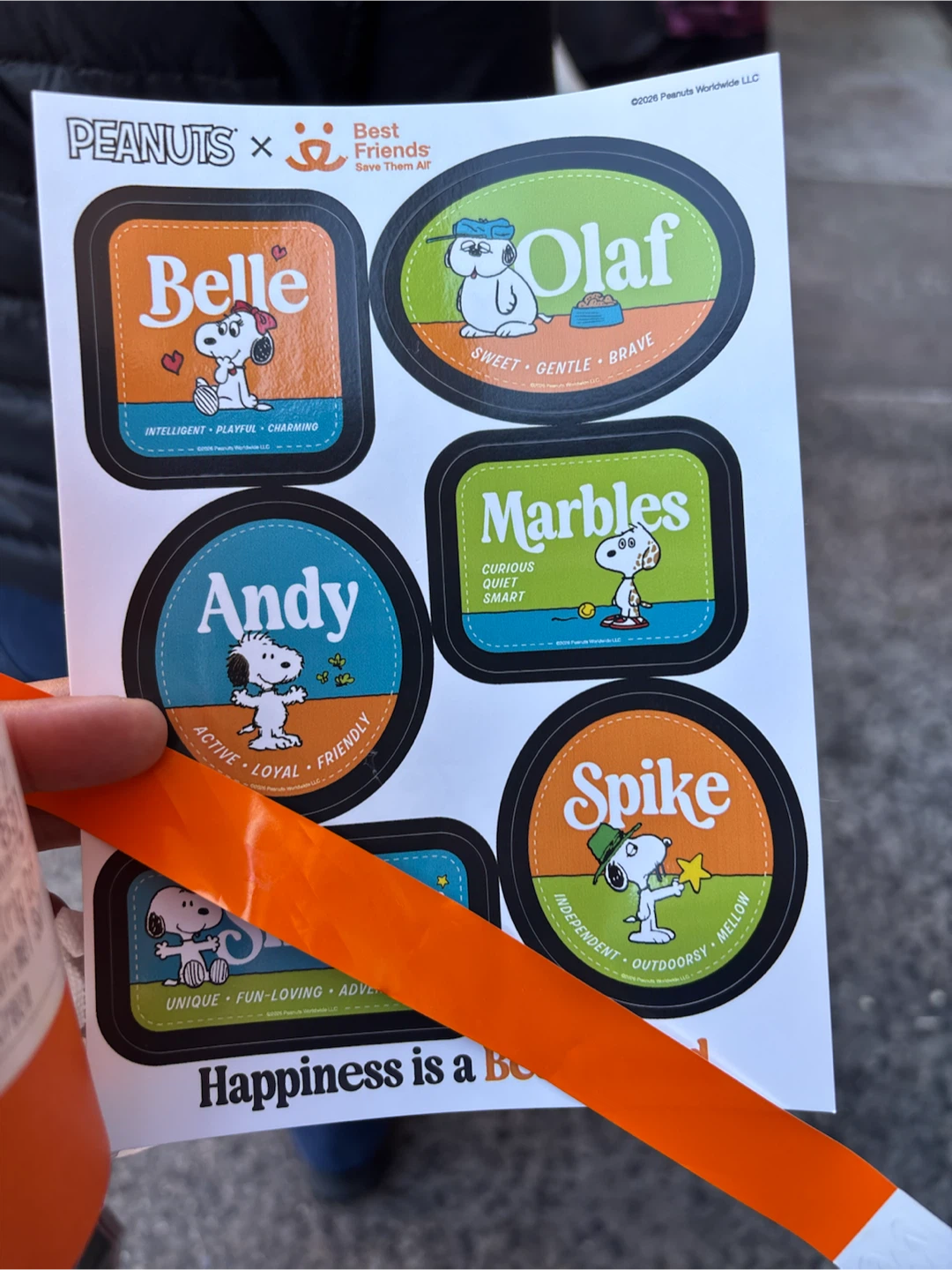 Peanuts x Best Friends Sticker Sheet