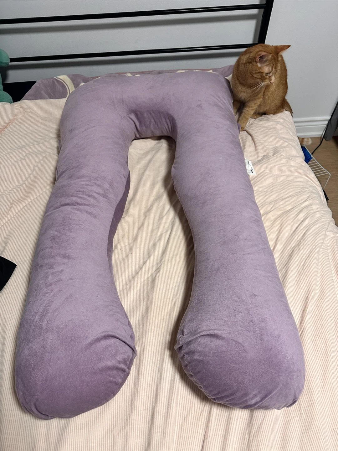 Purple U-Shaped Body Pillow