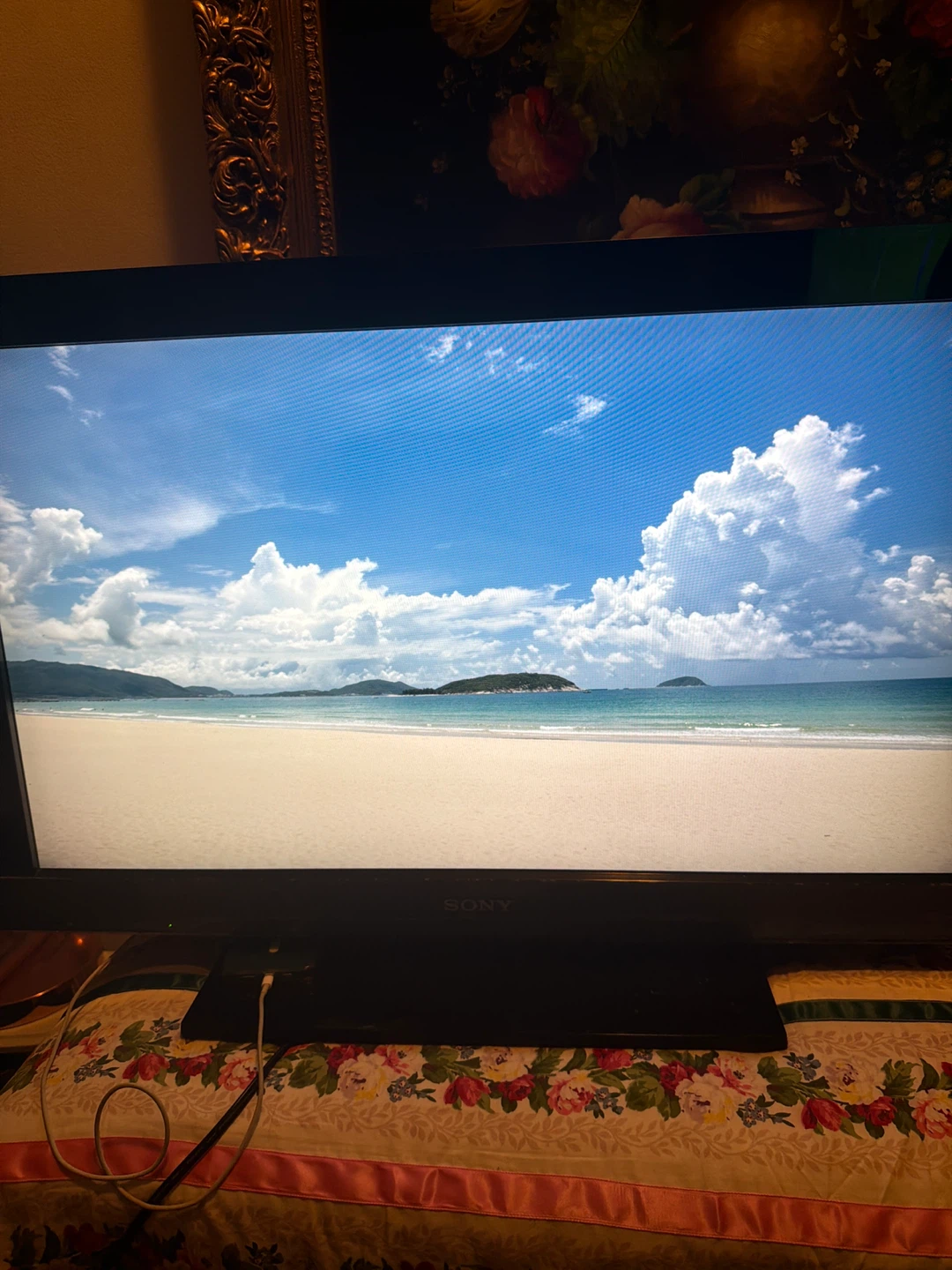 Sony Bravia Television - photo 2