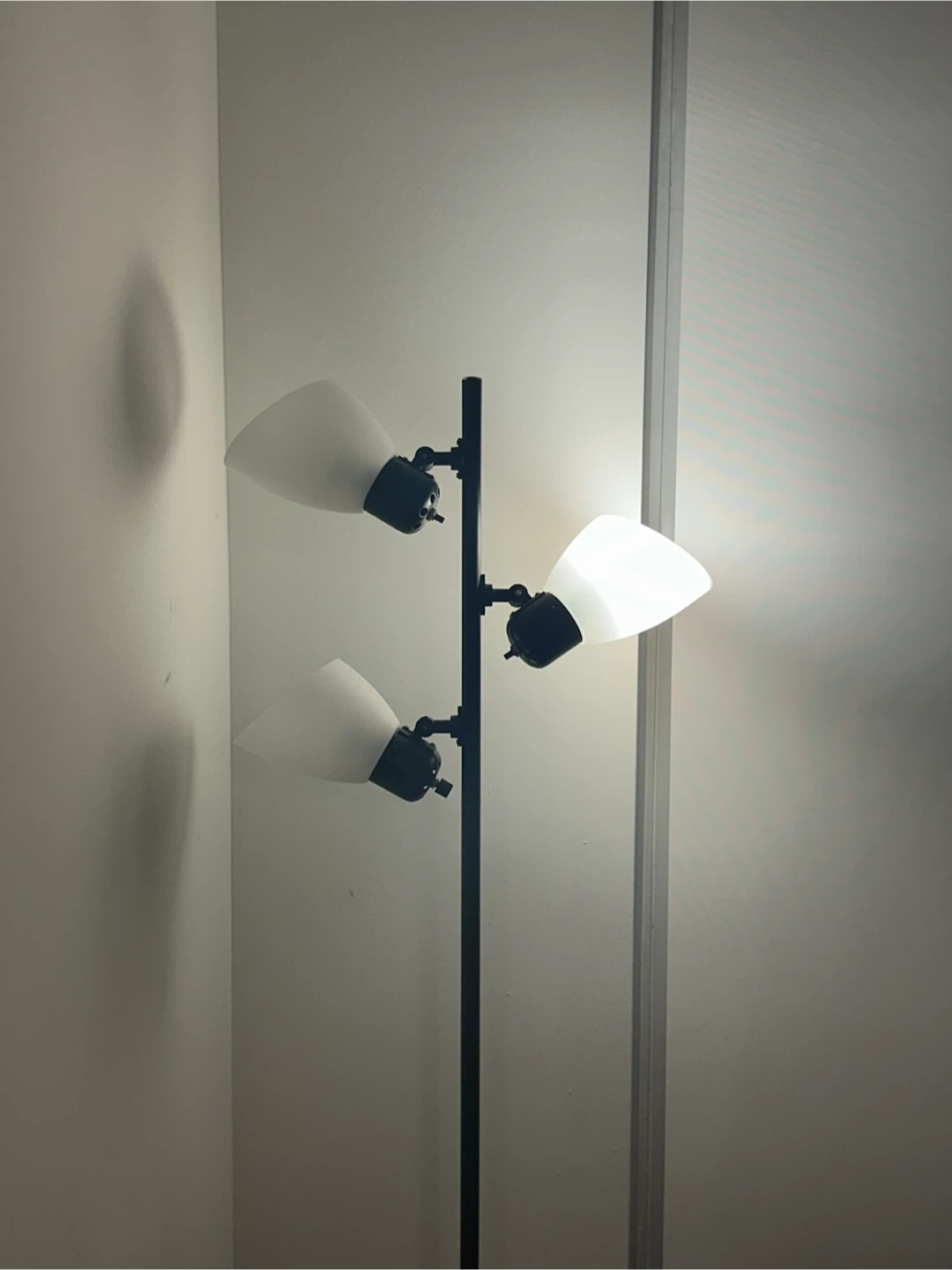 Three-head floor lamp with black finish