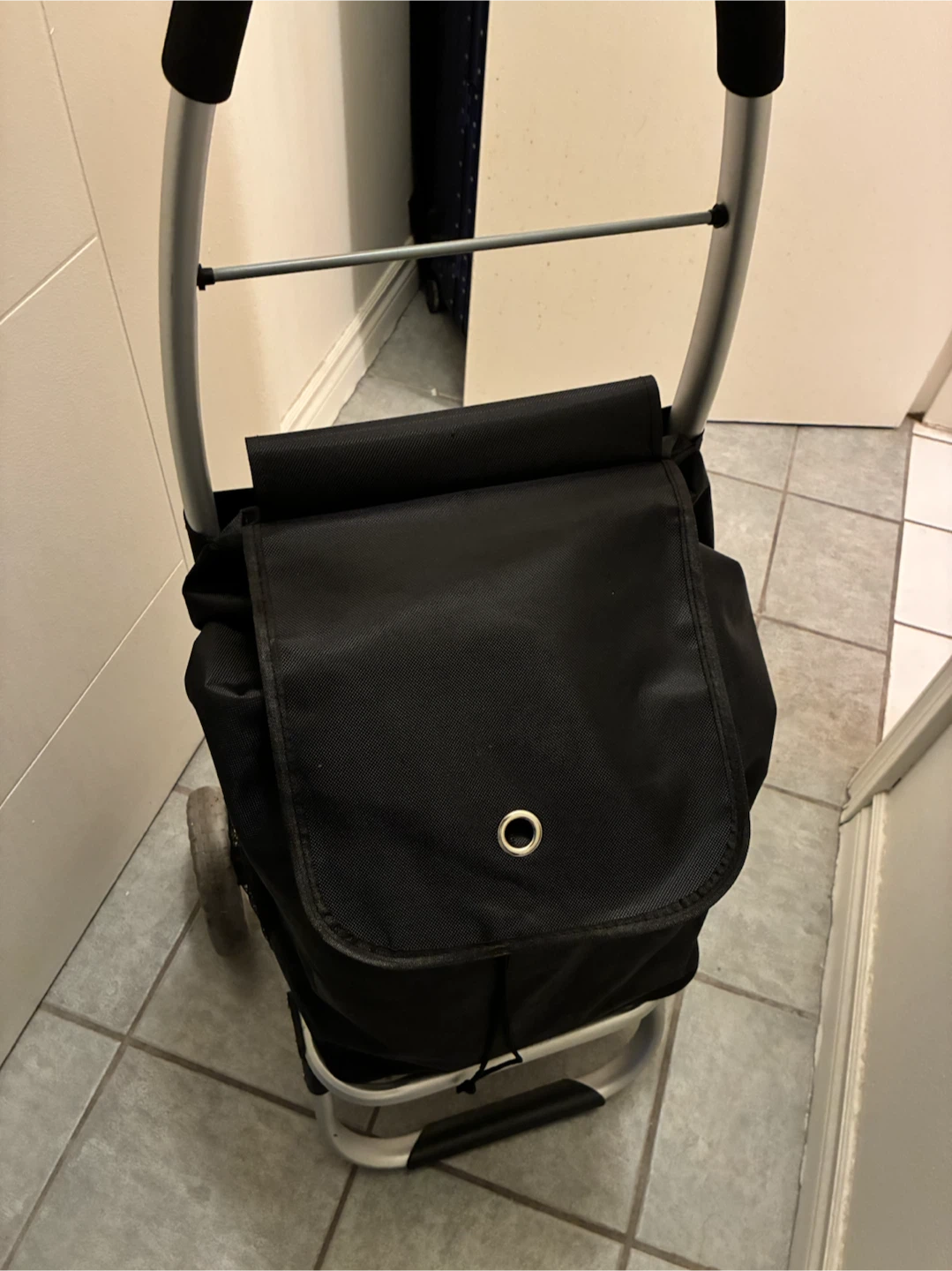 Black Rolling Shopping Cart