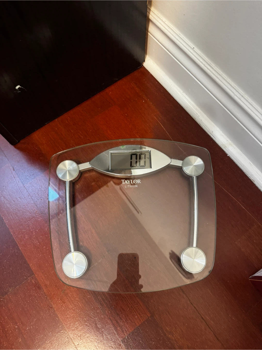 Taylor Lithium Electronic Digital Scale