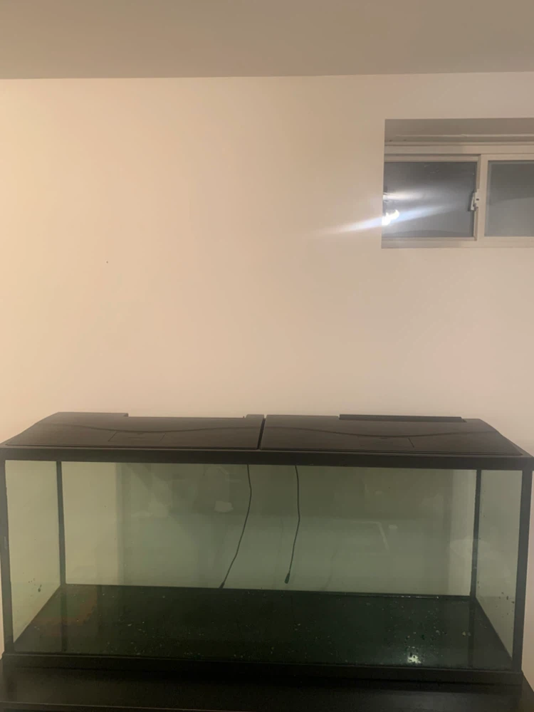 55 Gallon Glass Aquarium Tank