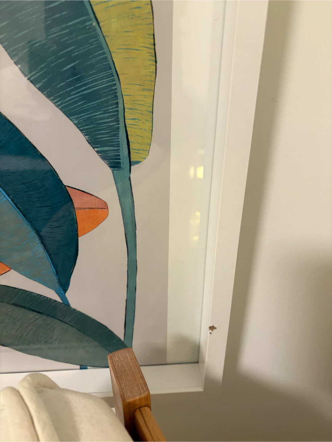 Two IKEA RIBBA white frames + Botanical Prints - photo 3