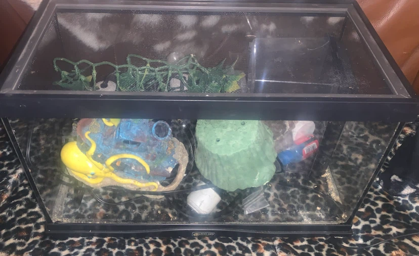 Zoo Med Reptile Terrarium with Accessories