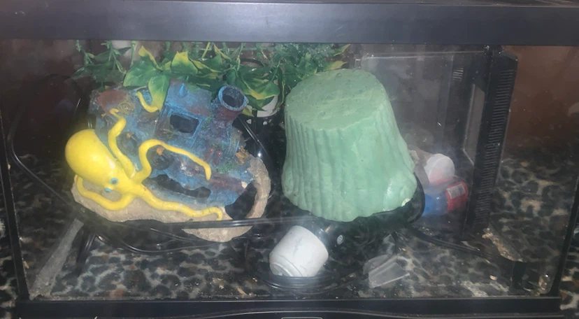 Zoo Med Reptile Terrarium with Accessories - photo 2