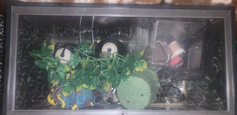 Zoo Med Reptile Terrarium with Accessories - photo 3