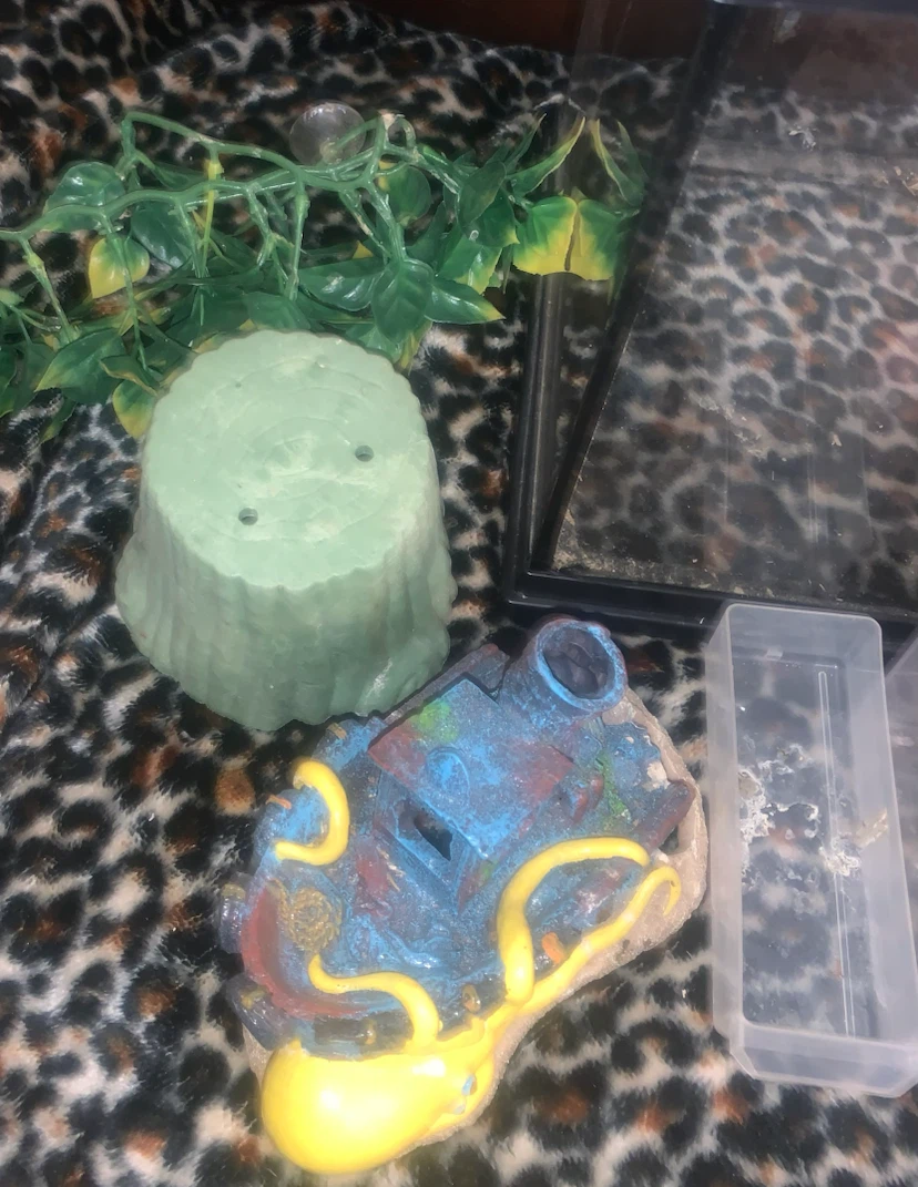Zoo Med Reptile Terrarium with Accessories - photo 4