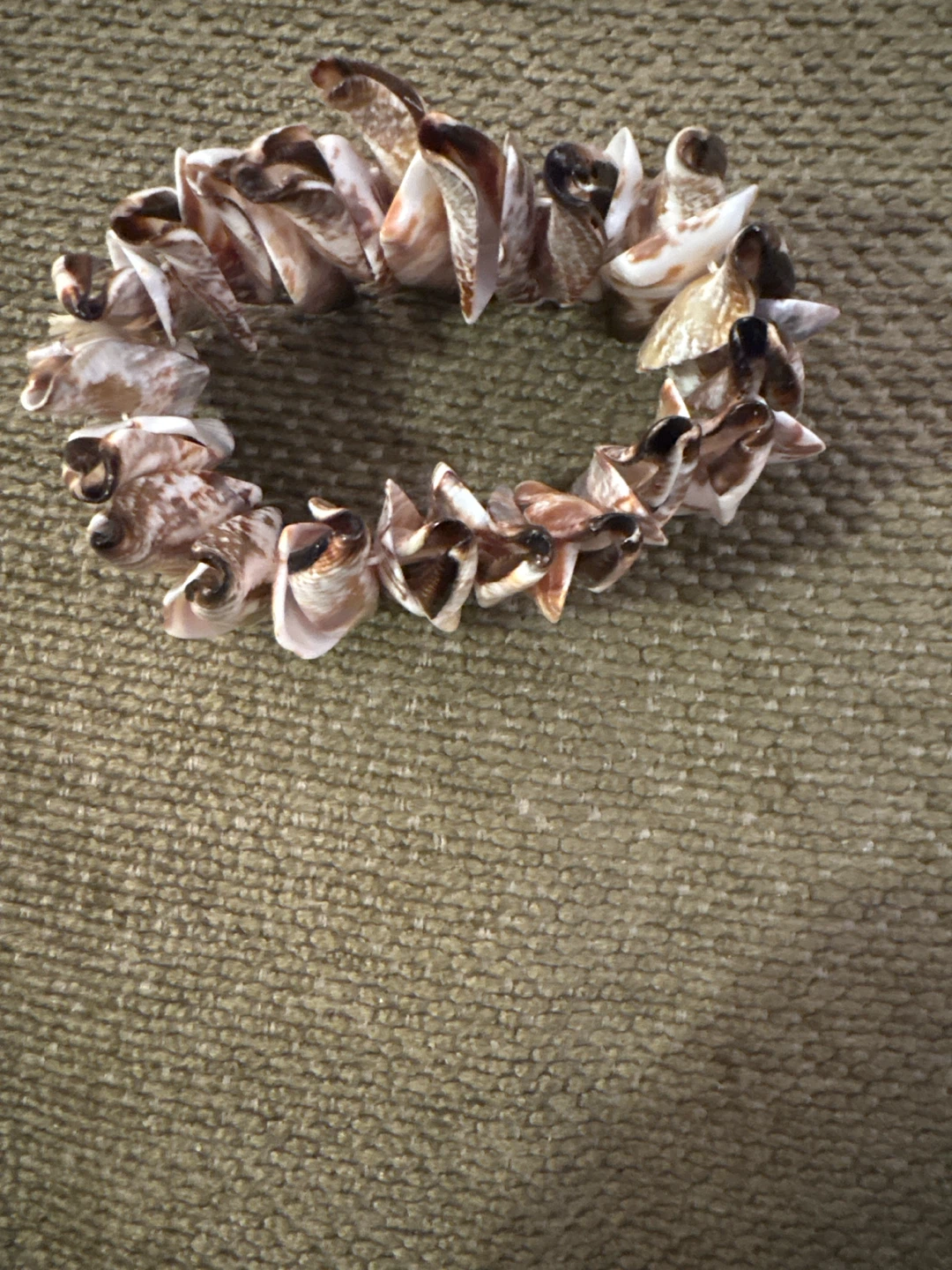 Natural Seashell Stretch Bracelet