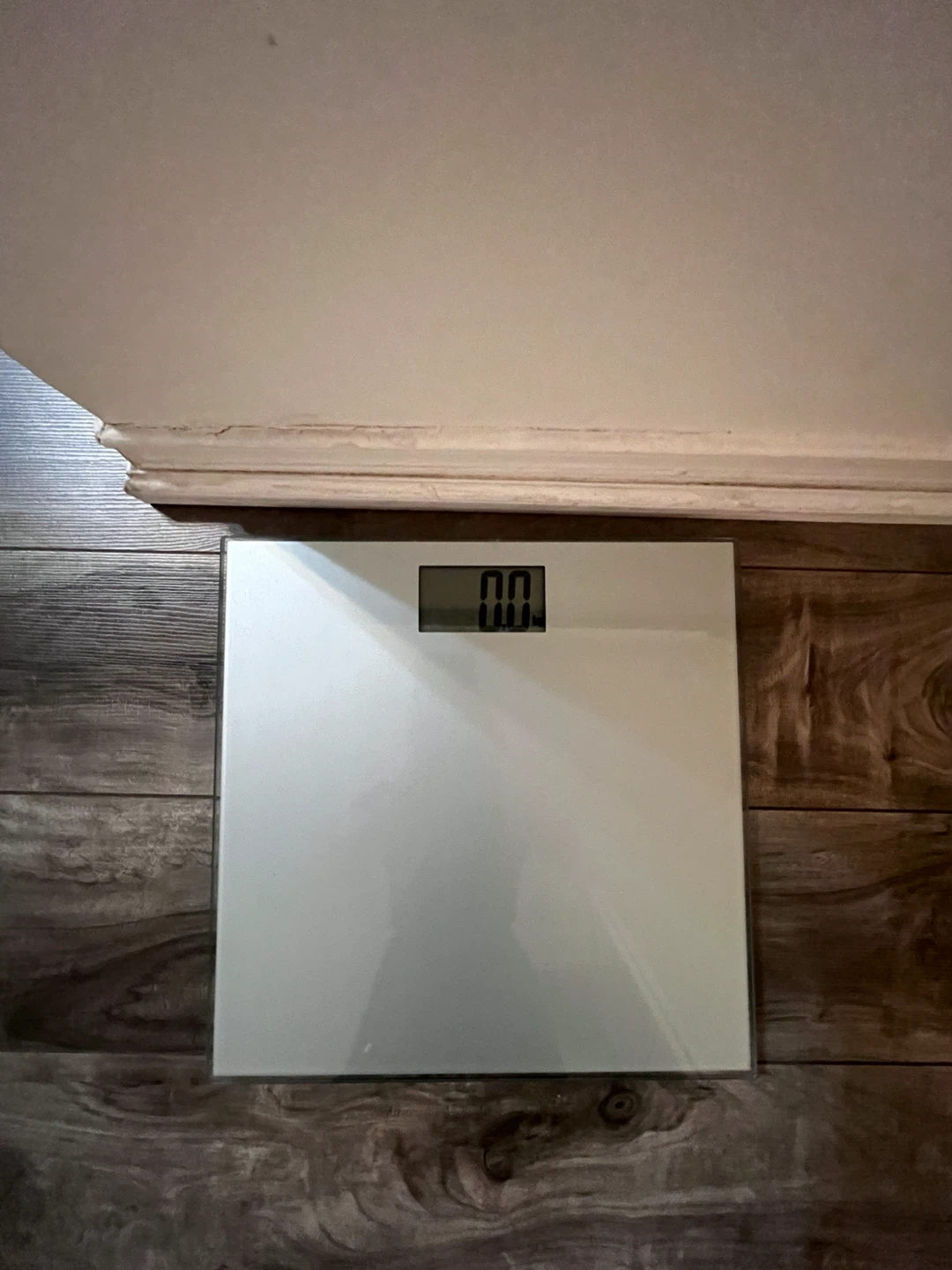 Digital bathroom scale