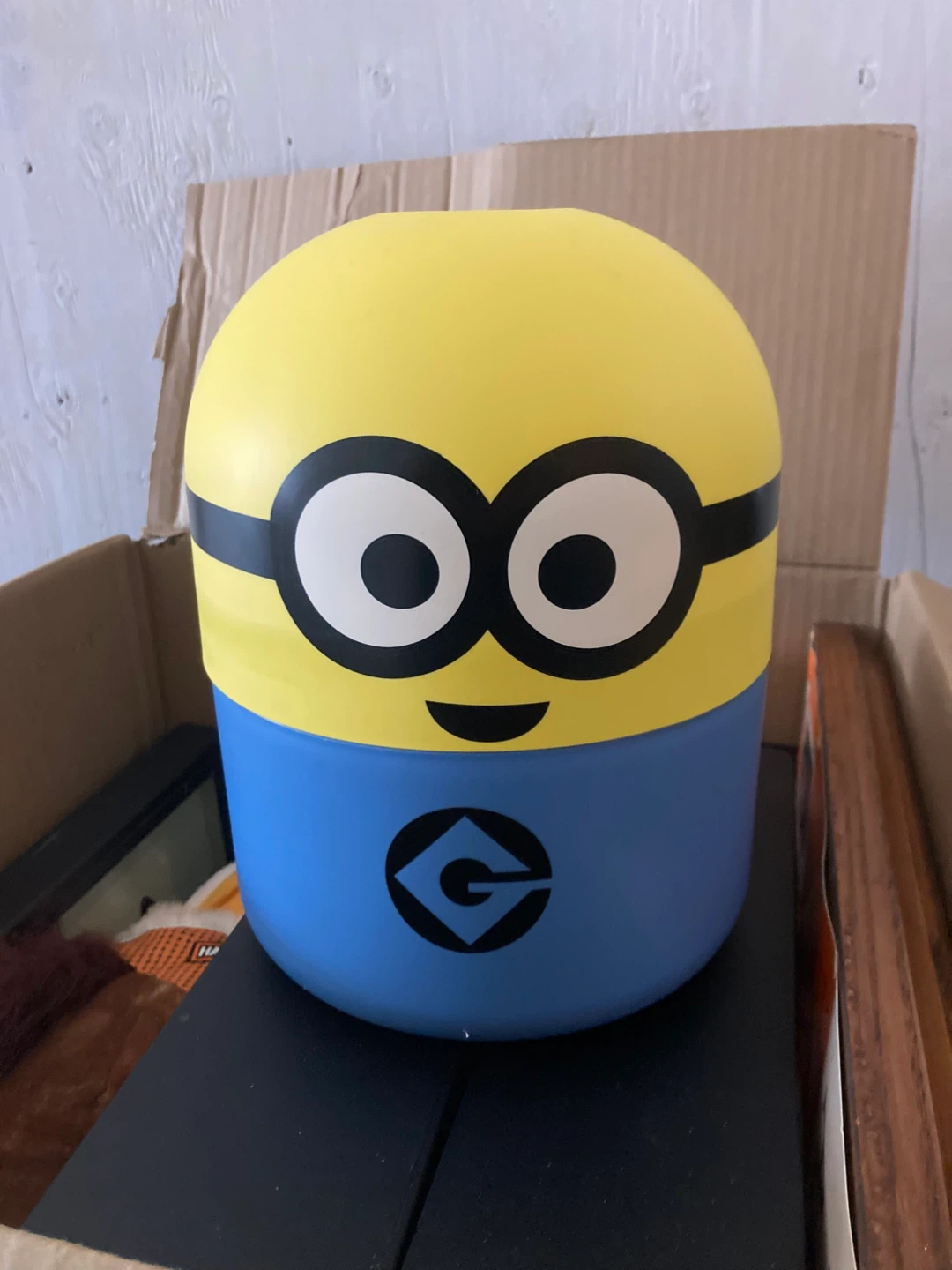 Minions Storage Container