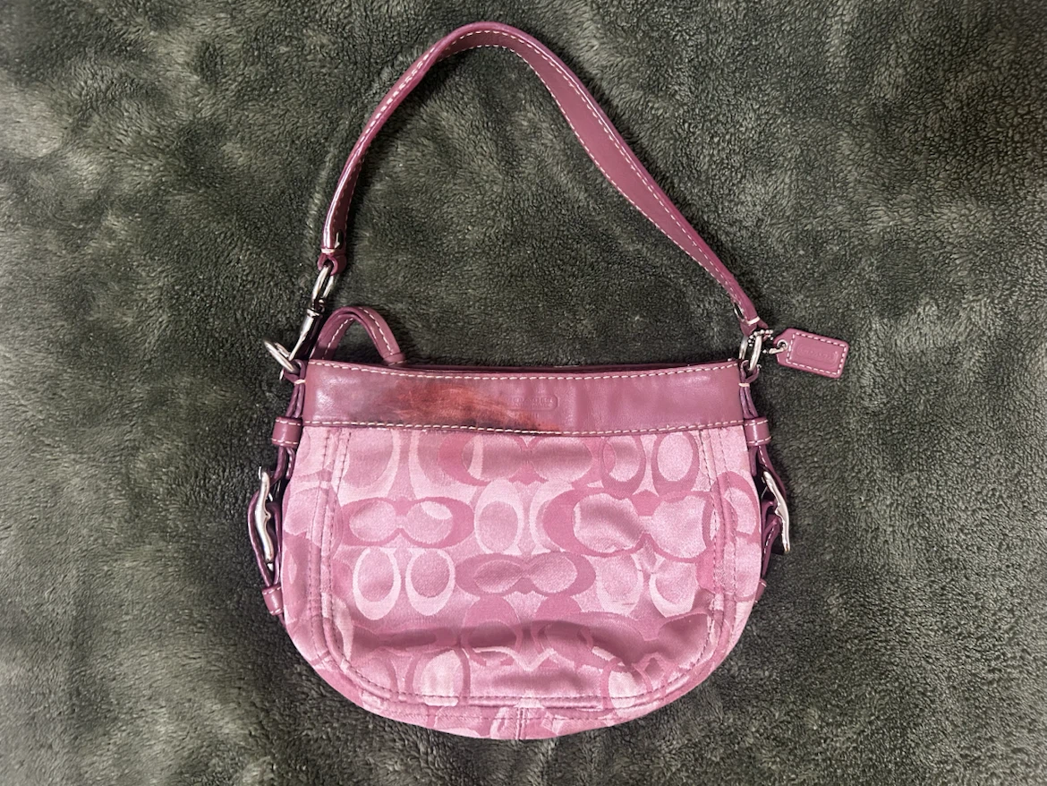 Coach Zoe Bag