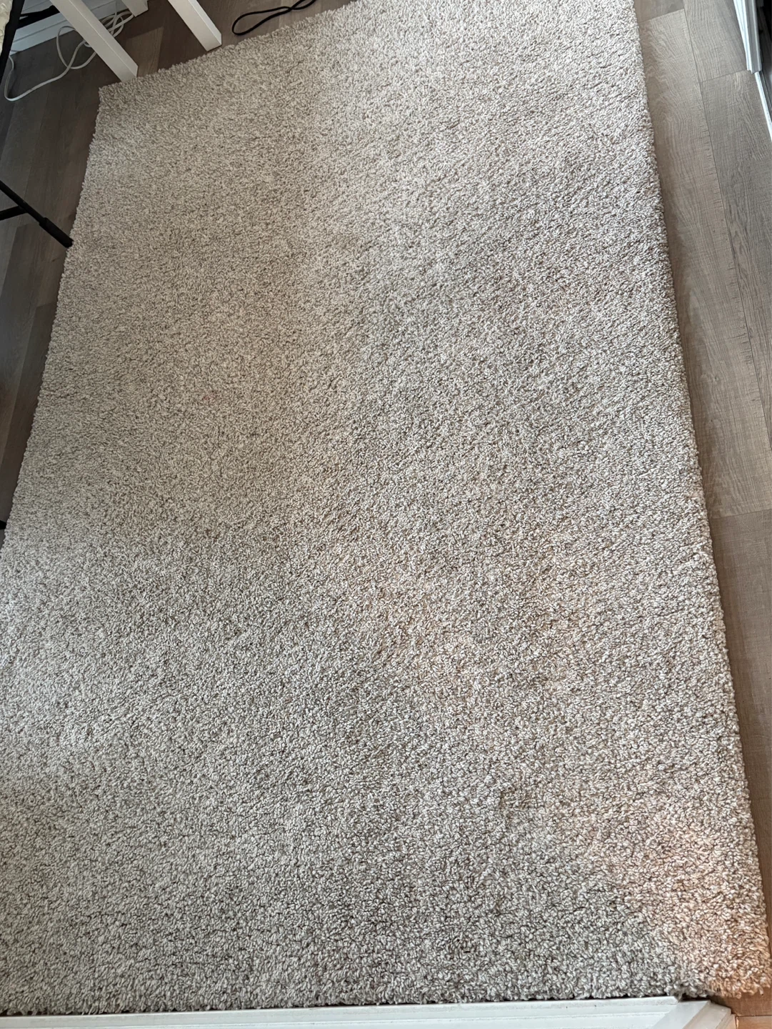 Area rug/ carpet